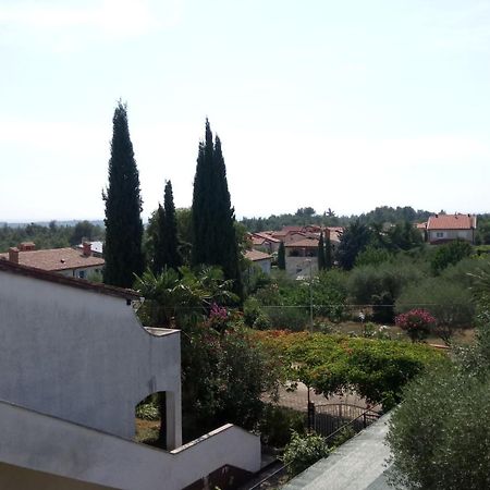 Villa Carolina Tar-Vabriga エクステリア 写真